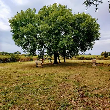 Turismo Rural La Amorosa Club De Campo Colon  Exterior photo